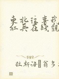 东北往事我叫赵红兵在线观看免费版