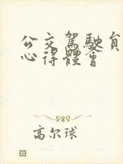 公交驾驶员服务心得体会