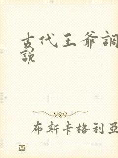 古代王爷调教小说