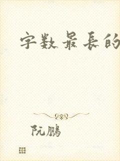 字数最长的小说