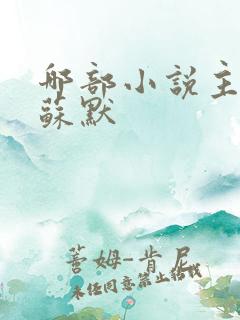 哪部小说主角叫苏默