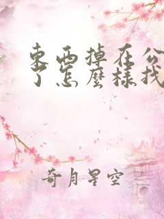 东西掉在公交车了怎么样找回