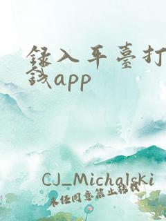 录入平台打字赚钱app 录入平台打字赚钱app