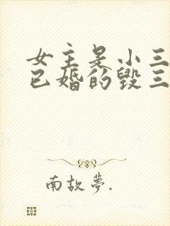 女主是小三男主已婚的毁三观小说
