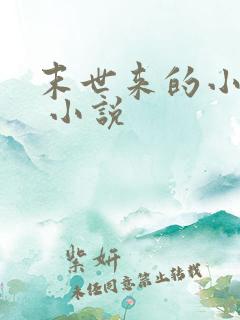 末世来的小农女 小说