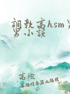 调教高hsm男男小说