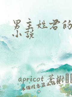 男主姓君的现代小说 男主姓君的现代小说