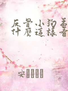 反骨小狗弟弟为什么这样看我