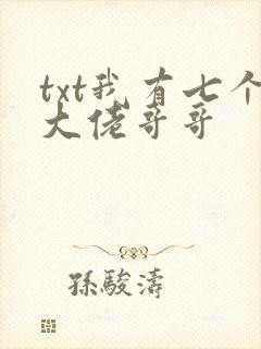 txt我有七个大佬哥哥