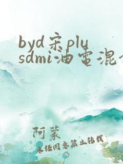 byd宋plusdmi油电混合