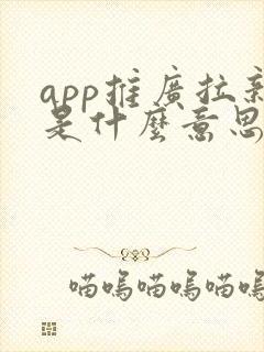 app推广拉新是什么意思