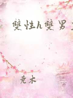 双性h双男主