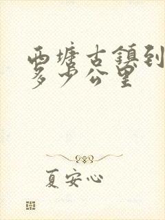 西塘古镇到苏州多少公里
