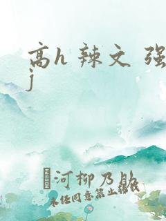 高h 辣文 强j