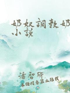 奶奴调教奶头的小说