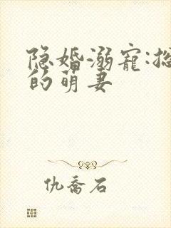 隐婚溺宠:总裁的萌妻