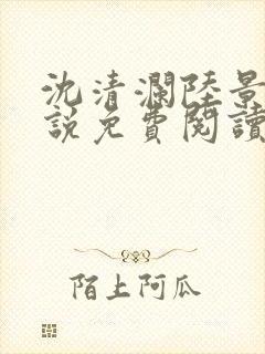 沈清澜陆景沉小说免费阅读最新章节更新
