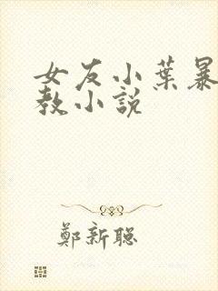 女友小叶暴露调教小说