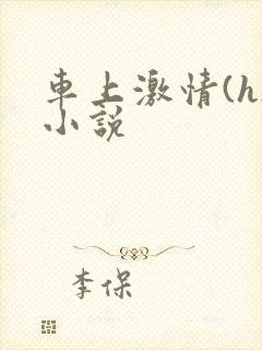 车上激情(h)小说