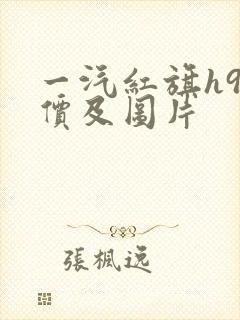 一汽红旗h9报价及图片