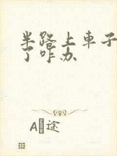 半路上车子没油了咋办