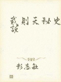 武则天秘史 小说