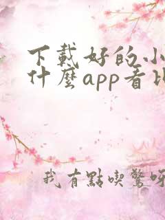 下载好的小说用什么app看比较好