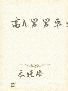 高h男男车文