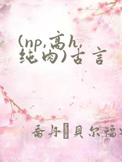 (np,高h,纯肉)古言