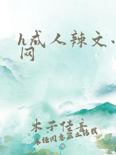 h成人辣文小说网