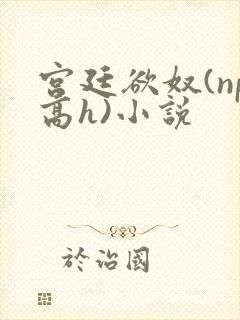 宫廷欲奴(np高h)小说