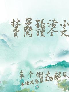 林曼孙浩小说免费阅读全文最新章节