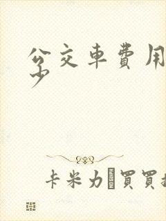 公交车费用是多少