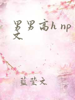 男男高h np文