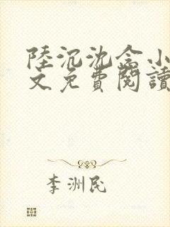 陆沉沈念小说全文免费阅读