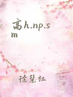 高h.np.sm