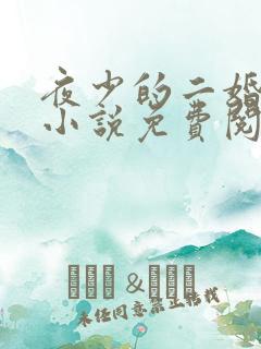 夜少的二婚新妻小说免费阅读