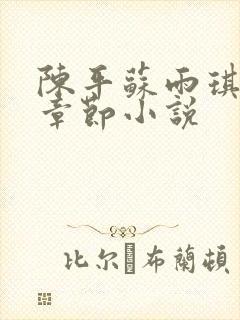 陈平苏雨琪最新章节小说