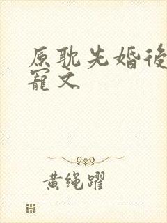原耽先婚后爱甜宠文