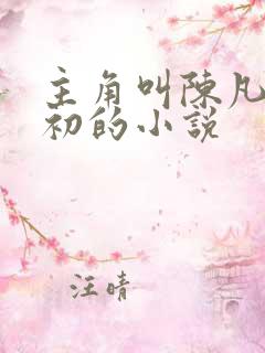 主角叫陈凡苏若初的小说