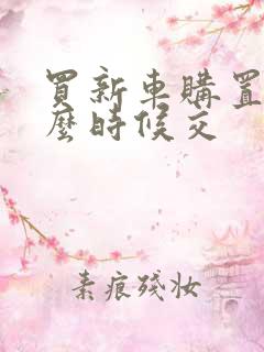 买新车购置税什么时候交