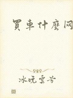 买车什么网好