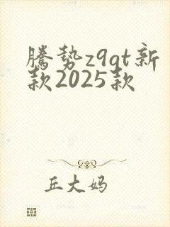 腾势z9gt新款2025款