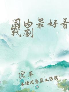 国内最好看的谍战剧