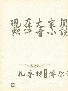 现在大家用什么软件看小说