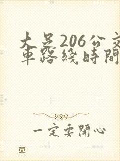 大足206公交车路线时间表