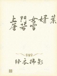 上门女婿叶凡与唐若雪