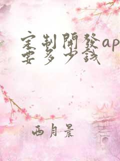 定制开发app要多少钱