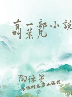 有一部小说主角叫叶凡 有一部小说主角叫叶凡