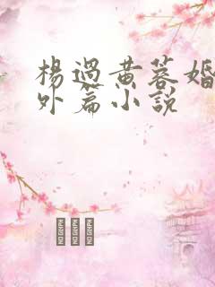 杨过黄蓉婚后番外篇小说